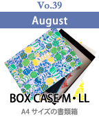 BOX CASE